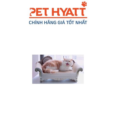  Bàn Cào Móng Hình Sofa Cho Mèo 