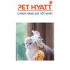 Mũ Len Dệt Kim Nhiều Hình Cho Thú Cưng