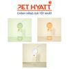 Bình Nước Tự Động Kèm Chén Đựng Hạt Nhiều Kiểu Cho Thú Cưng