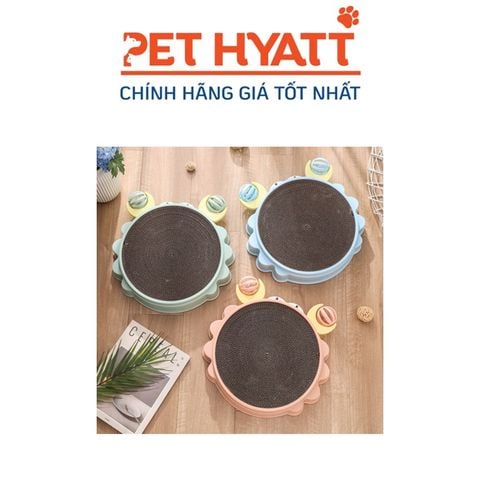  Bàn Cào Móng Hình Con Cua Cho Mèo 