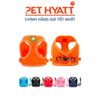Yếm Kèm Dây Dắt Tag Ngực Ngôi Nhà Love Has Support Cho Thú Cưng