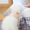 Áo Giả Len Tag Ngực Gấu Cho Thú Cưng