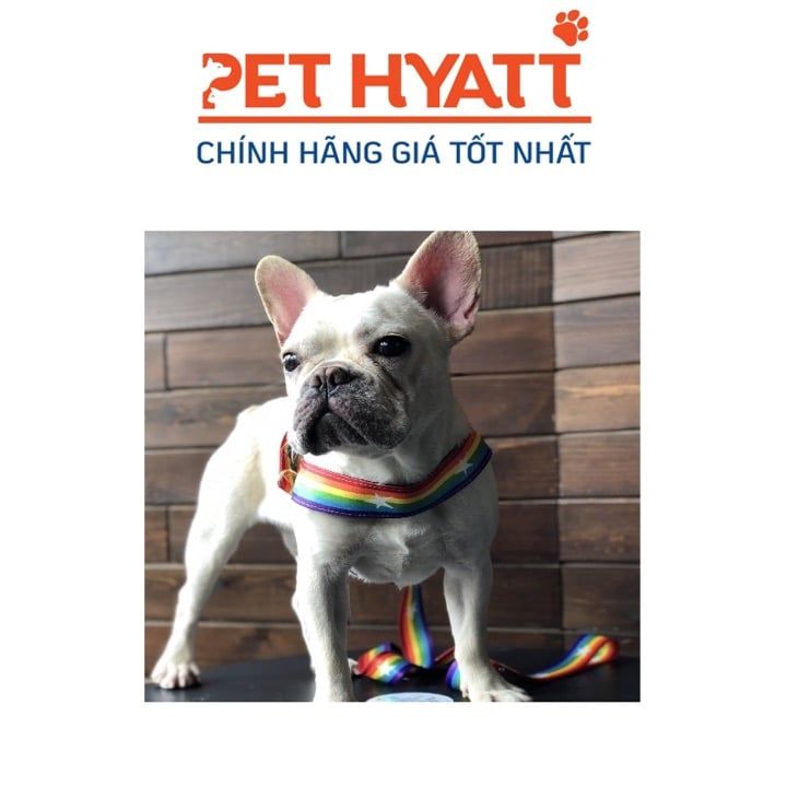 Dây Dắt Kèm Yếm 7 Màu Ngôi Sao Cho Thú Cưng