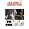 Laser Đồ Chơi Cho Mèo Nhiều Hình Kèm Đuôi Gà