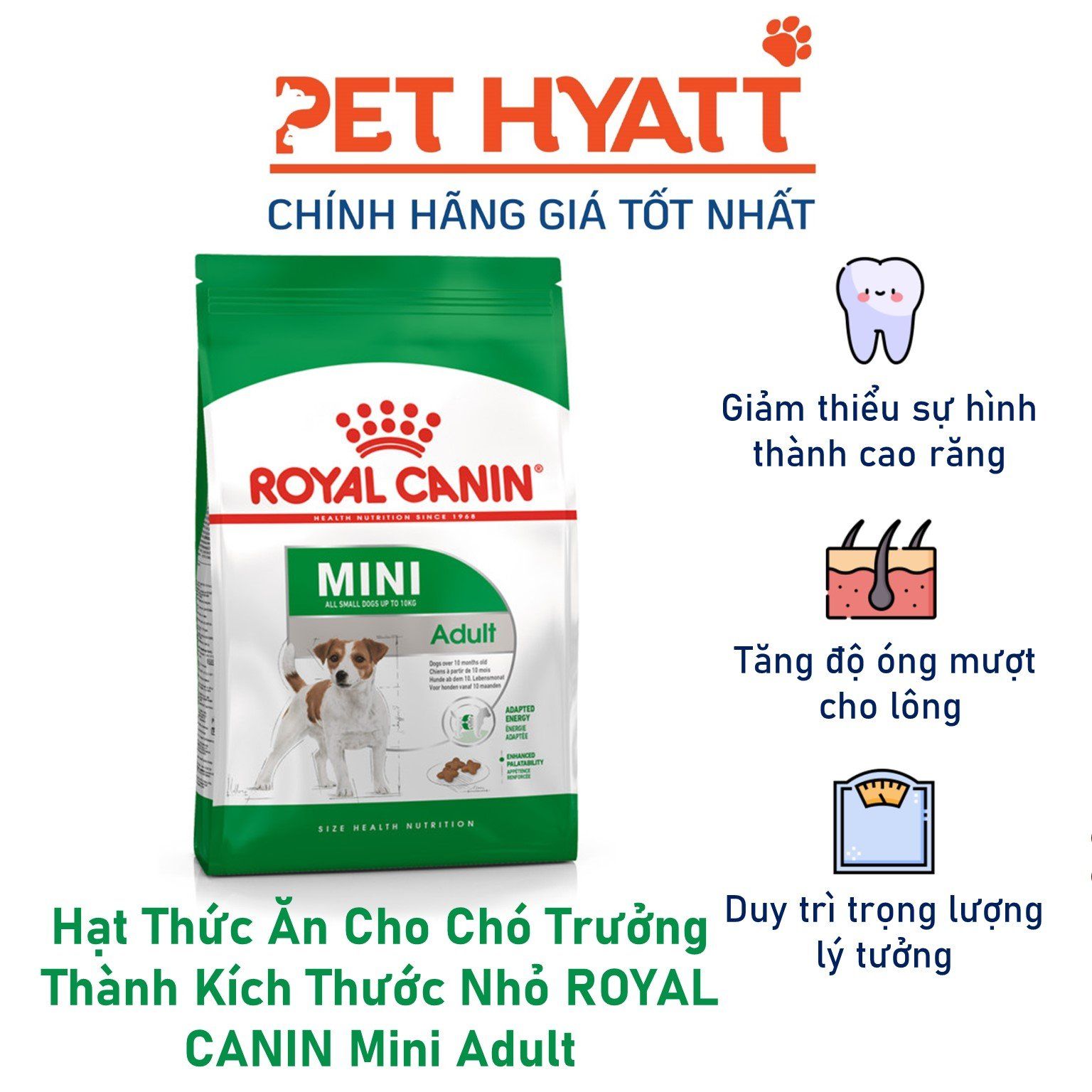Hạt Thức Ăn Cho Chó Trưởng Thành Kích Thước Nhỏ ROYAL CANIN Mini Adult