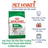 Hạt Thức Ăn Cho Chó Trưởng Thành Kích Thước Nhỏ ROYAL CANIN Mini Adult