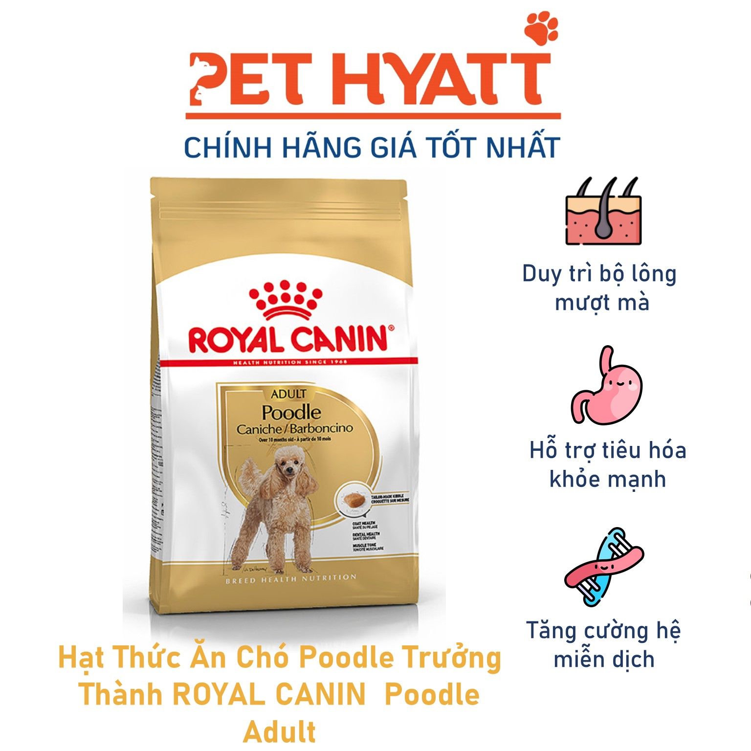 Hạt Thức Ăn Chó Poodle Trưởng Thành ROYAL CANIN  Poodle Adult