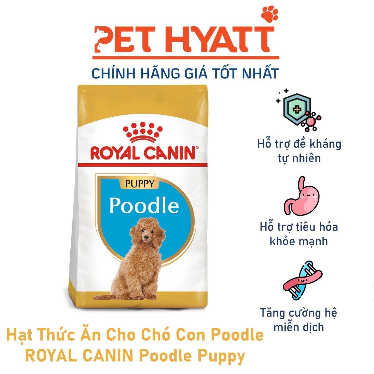 Hạt Thức Ăn Cho Chó Con Poodle ROYAL CANIN Poodle Puppy