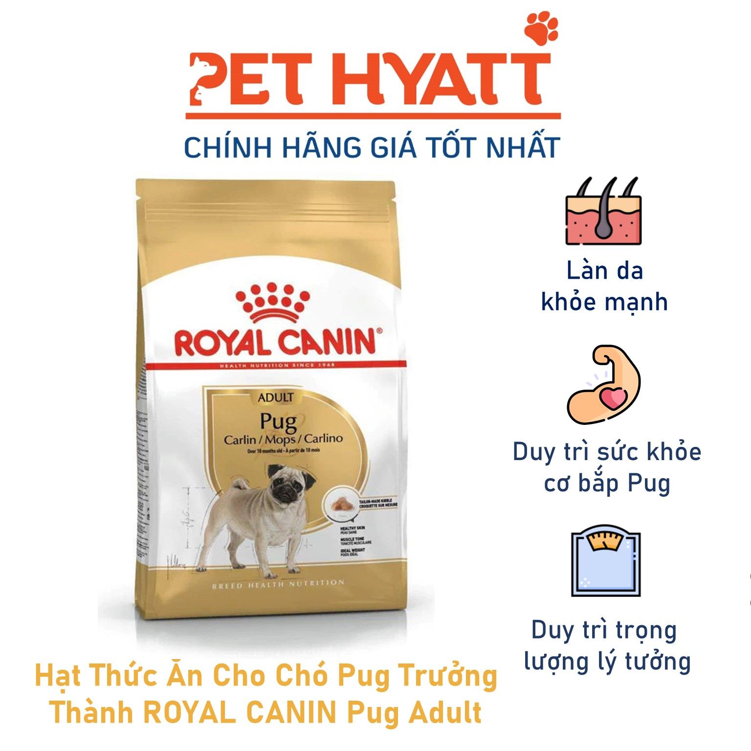 Hạt Thức Ăn Cho Chó Pug Trưởng Thành ROYAL CANIN Pug Adult