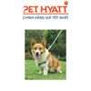 Dây Dắt Kèm Yếm Sợi Nilong Cao Cấp M-PET Cho Thú Cưng