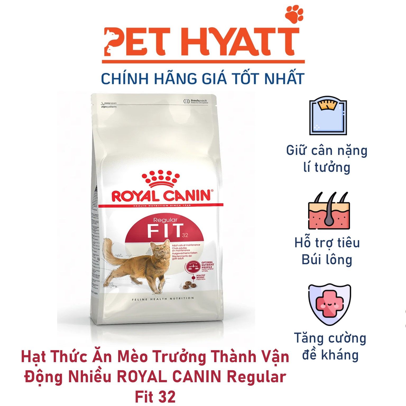 Hạt Thức Ăn Mèo Trưởng Thành Vận Động Nhiều ROYAL CANIN Regular Fit 32
