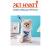 Dây Dắt Kèm Yếm Xốp Hoạ Tiết Cho Thú Cưng