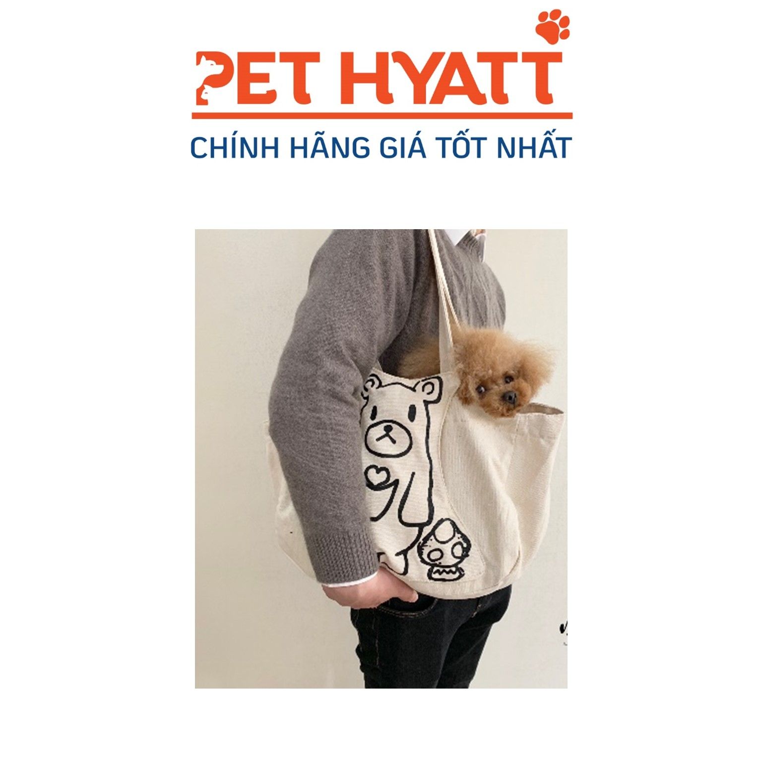 Túi Xách Vận Chuyển Chó Mèo Hình Gấu