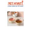 Bát Ăn Khung Đôi Kèm Chén Sứ Hình Animal Cho Thú Cưng