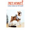 Dây Dắt Kèm Yếm Có Tay Cầm Đệm Mút Cho Thú Cưng