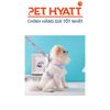 Dây Dắt Kèm Yếm Xốp Hoạ Tiết Cho Thú Cưng
