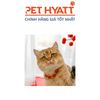 Vòng Cổ Tết Hình Nhân Sư Cho Thú Cưng