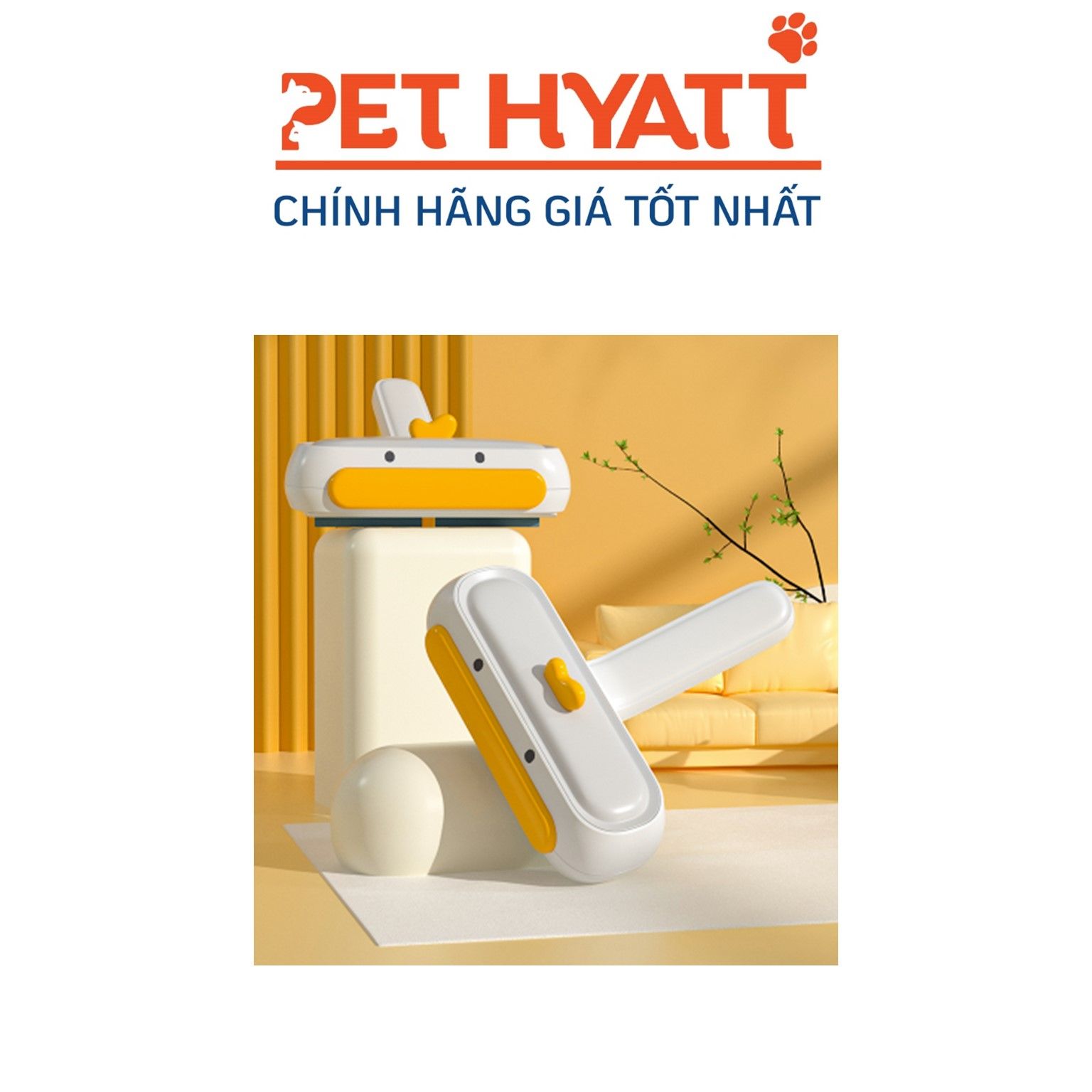 Cây Lăn Tĩnh Điện Mặt Vịt