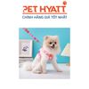 Dây Dắt Kèm Yếm Xốp Hoạ Tiết Cho Thú Cưng