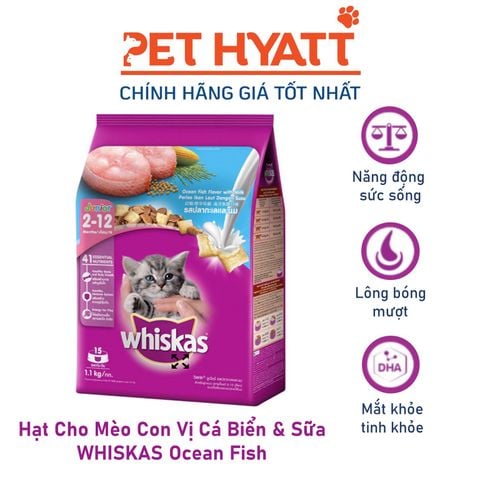  Hạt Cho Mèo Con Vị Cá Biển & Sữa WHISKAS Ocean Fish 