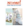 Yếm Xanh Kèm Dây Dắt Cho Thú Cưng