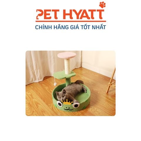  Ổ Lót Nằm Kèm Cattree Hình Ếch Xanh Cho Mèo 