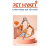 Dây Đeo Ngực Kèm Dây Dắt Phản Quang Cho Thú Cưng
