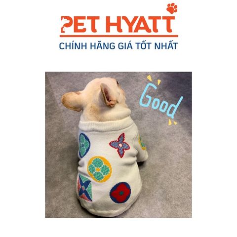  Áo Len Hoa Trắng Louis Vuitton Cho Thú Cưng 