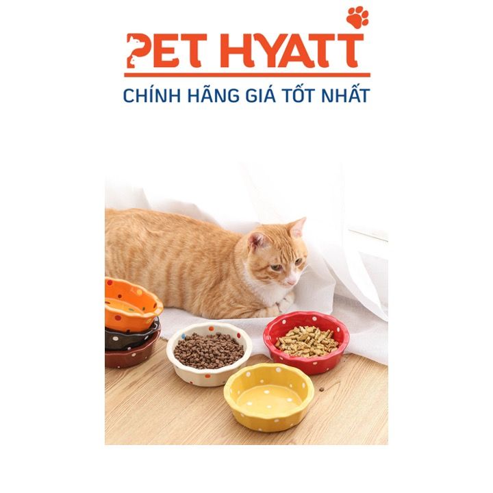 Bát Ăn Sứ Hoạ Tiết Chấm Bi Cho Thú Cưng