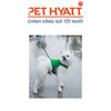Yếm Xanh Lưng Khủng Long Kèm Dây Dắt Cho Thú Cưng