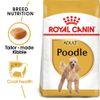 Hạt Thức Ăn Chó Poodle Trưởng Thành ROYAL CANIN  Poodle Adult