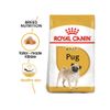 Hạt Thức Ăn Cho Chó Pug Trưởng Thành ROYAL CANIN Pug Adult