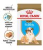 Hạt Thức Ăn Cho Chó Con Bulldog ROYAL CANIN Bulldog Puppy