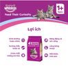 Hạt Cho Mèo Vị Cá Ngừ WHISKAS Tuna Flavour