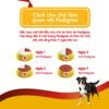 Hạt Cho Chó Trưởng Thành Vị Bò & Rau Củ PEDIGREE  Adult Beef & Vegetable Flavor