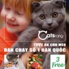 Hạt Cho Mèo Mọi Lứa Tuổi CATSRANG