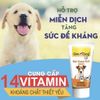 Gel Dinh Dưỡng Cho Chó Cung Cấp 14 Vitamins GIMDOG Multi GIMDOG Vitamin Paste
