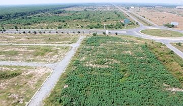 Dịch vụ đăng ký biến động đất đai tại Đồng Nai, tất tần tật những điều cần biết