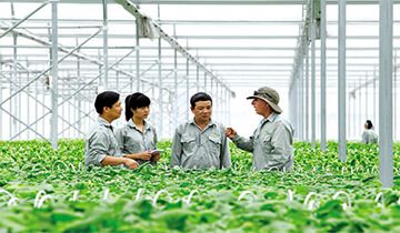 Dịch vụ thành lập hợp tác xã, liên hiệp hợp tác xã tại Đồng Nai, nhanh chóng, chuyên nghiệp, giá cả hợp lý