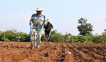 Người sử dụng đất là gì? Khái niệm và các quyền lợi liên quan