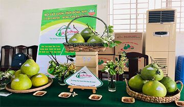 Sở công thương tỉnh Đồng Nai
