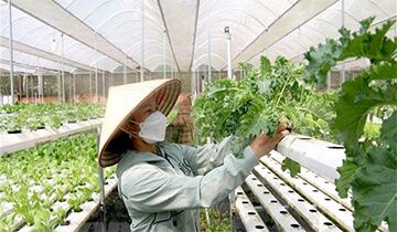 Thủ tục thành lập hợp tác xã, liên hiệp hợp tác xã tại Đồng Nai