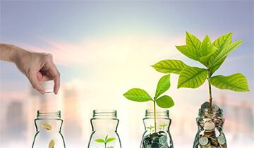 Tư vấn chính sách trong đầu tư kinh doanh