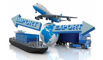 Tư vấn hoạt động xuất nhập khẩu cho thương nhân nước ngoài