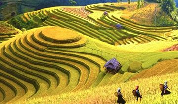 Thủ tục đăng ký cấp phép lữ hành nội địa tại Đồng Nai, hướng dẫn chi tiết