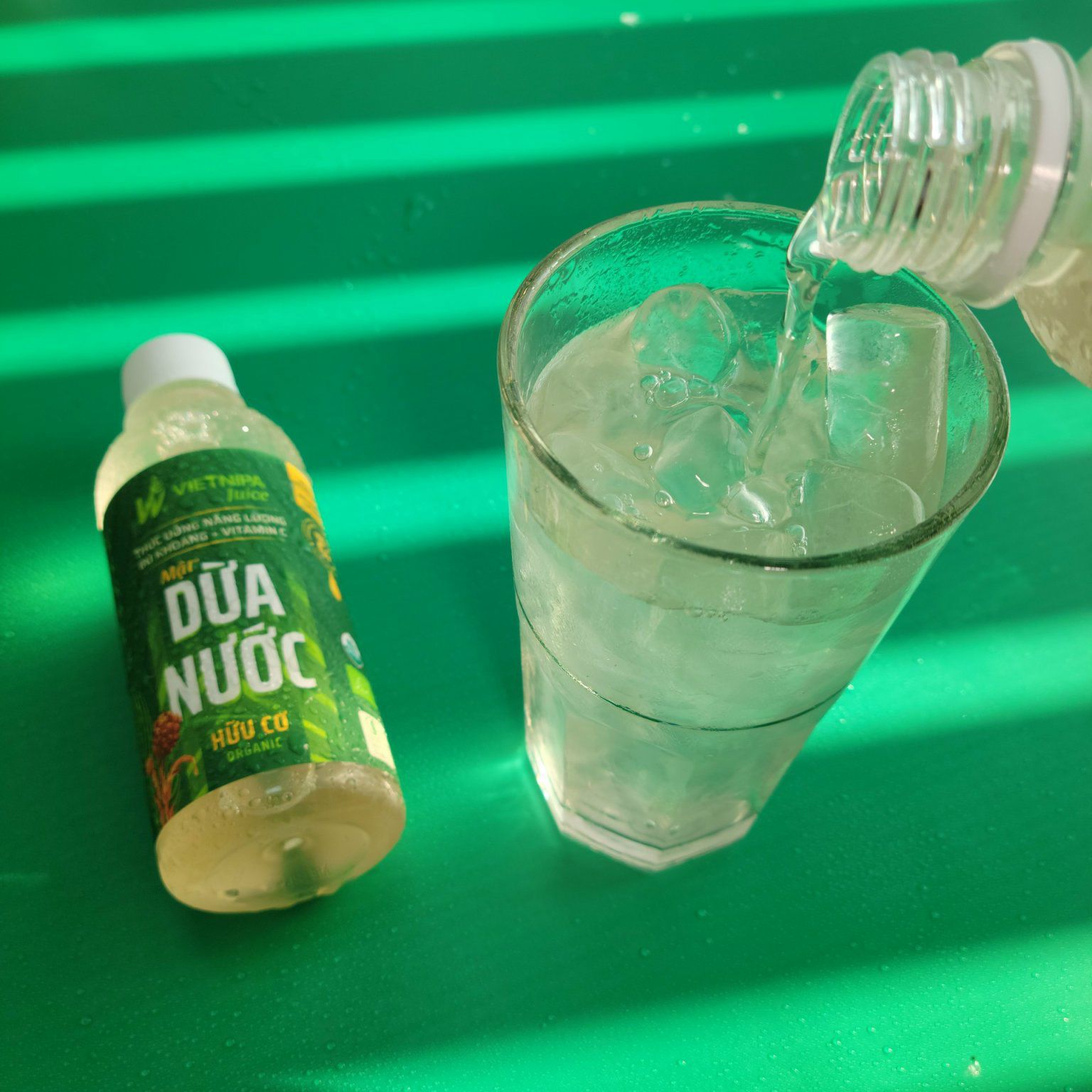  Mật dừa nước hữu cơ VIETNIPA Juice 250ml 