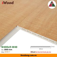 Tấm ốp phẳng iWood W400 (W400x9-W40-1)