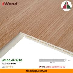 Tấm ốp phẳng iWood W400 (W400x9-W40-2)