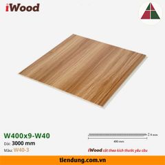 Tấm ốp phẳng iWood W400 (W400x9-W40-3)