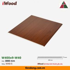 Tấm ốp phẳng iWood W400 (W400x9-W40-5)